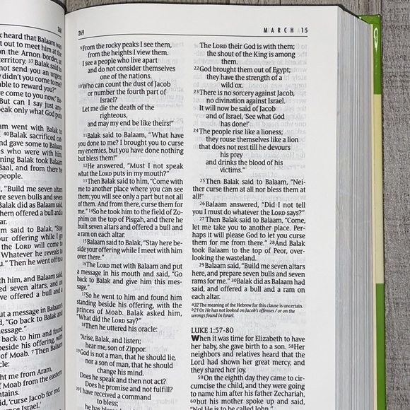 One Year Bible NIV  FREE WITH PURCHASE - Picture 7 of 11